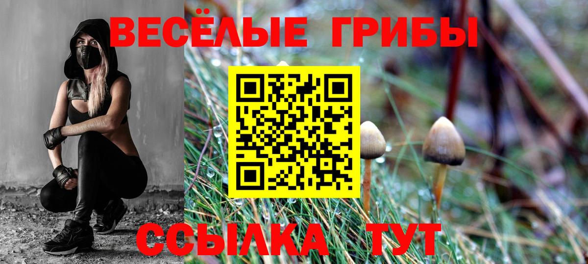 Псилоцибиновые грибы GOLDEN TEACHER  Вход с VPN  Уварово  Галлюциногенные грибы Magic Shrooms 